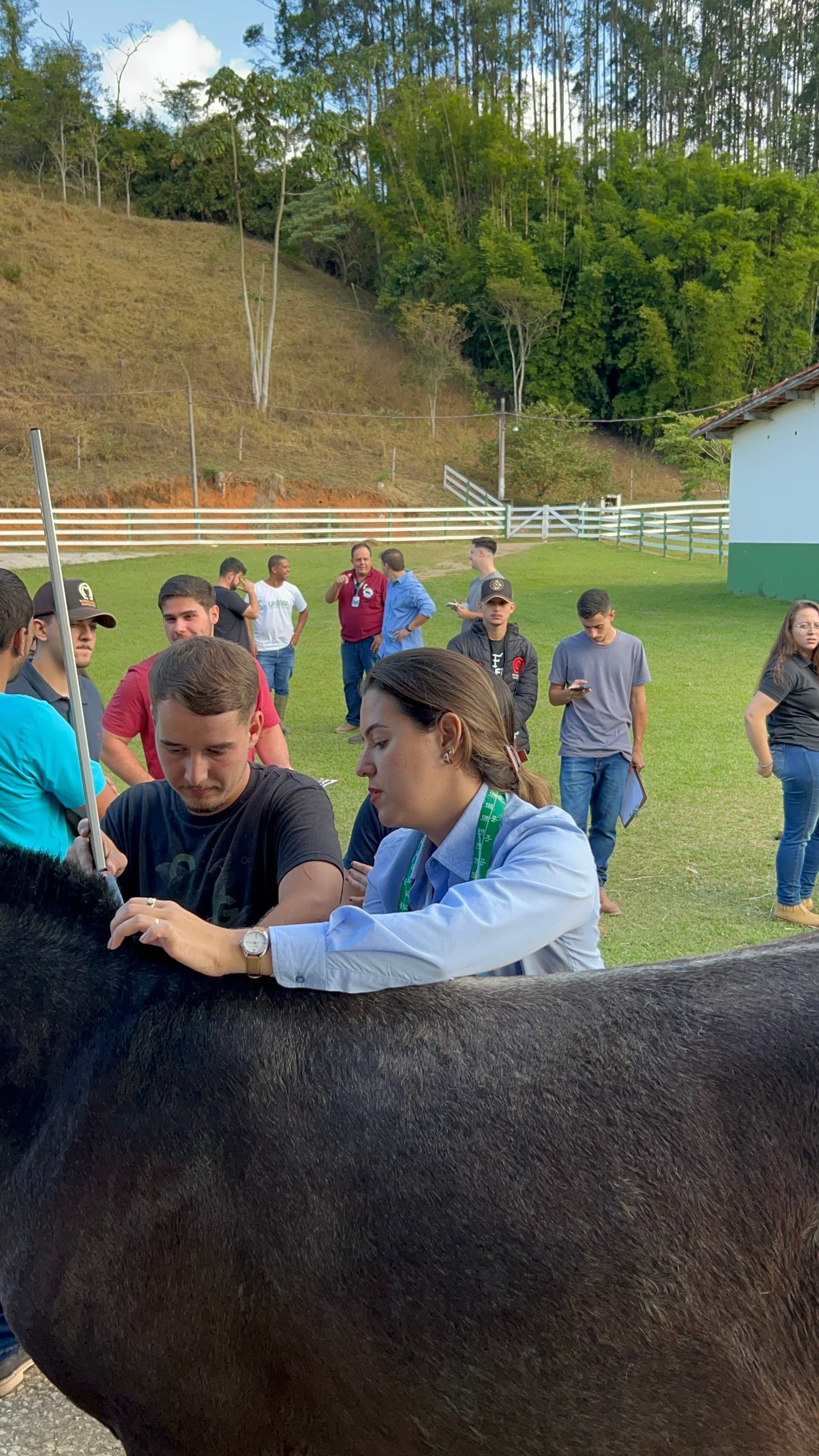 Foto de treinamento 13
