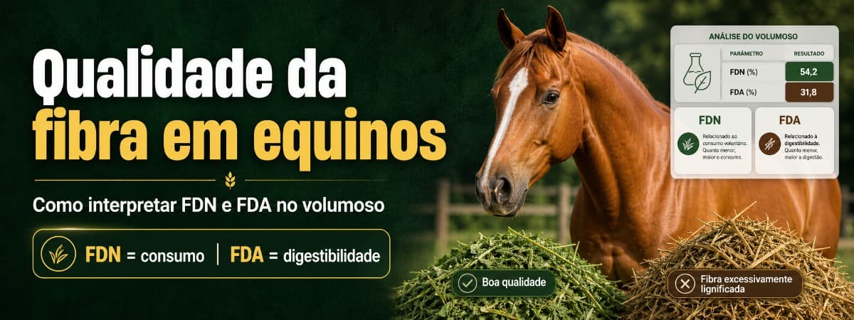 Qualidade da fibra em equinos: como interpretar FDN e FDA no volumoso