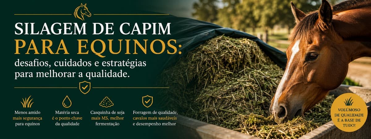 Silagem de capim para equinos: desafios, cuidados e estratégias para melhorar a qualidade.