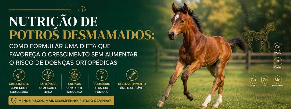 Nutrição de potros desmamados: como formular uma dieta que favoreça o crescimento sem aumentar o risco de doenças ortopédicas